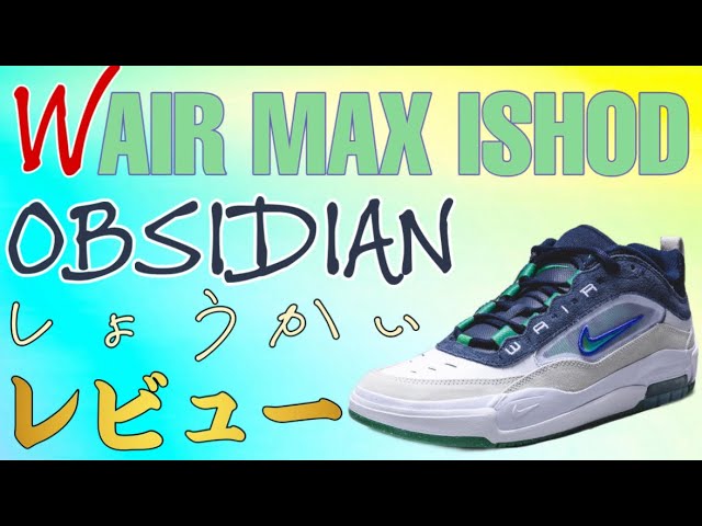 GRAPEに備えよ！】NIKE SB AIR MAX ISHOD 