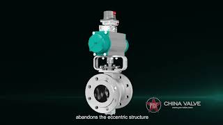 Segment Ball Valve
