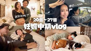 【妊娠中期のリアルな記録】胎動を感じた日｜“安定期”って聞いてたのに…