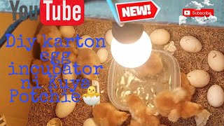 DIY Home made Karton Egg Incubator ni Kuya Potchie..🐣