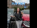 Fun Fact