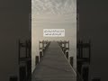 و د م ر ن ا م ا ك ان ي ص ن ع ف ر ع و ن و ق و م ه و م ا ك ان وا ي ع ر ش ون