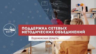 Поддержка сетевых методических объединений в Воронежской области.