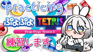 【ぷよテト練習】ぷよかテトの気持ちになれ！！！【にじさんじ /ソフィア・ヴァレンタイン】