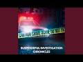 Suspenseful Investigation Chronicles 