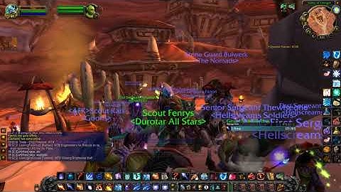 Why she take damage only when I take damage? WOW:Classic Bug?