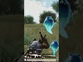 Kya App Bhi PUBG Khelte ho