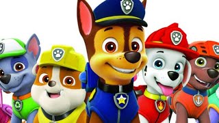 Paw Patrol Theme 1 Hour