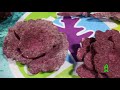 Real Reef Rock at Reef-A-Palooza New York 2021