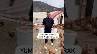 Yumurta Satarak Zengin Olmak