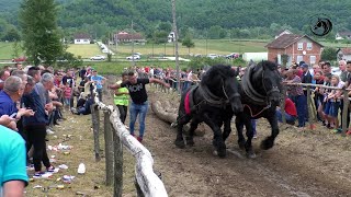 -MAKS I SOKO OD DUCELJA NA TRONU TEŠKE U RUDICAMA KOD GRUBORA -