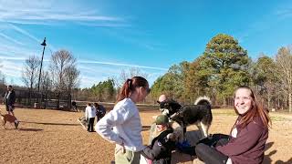 Dog Park TV today was Cane Corso vs Husky, we had another spectacular day in NE GA lots of new pups.