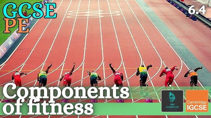 The 5 Components of Health Related Fitness Explained