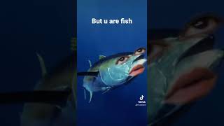 Underwater nuke but u are fish 🗿 IG: cold.kunn #fyp #viral #tiktokvideo #trendingshorts