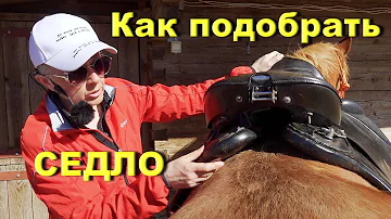 Как подобрать седло для лошади. Изготовление шаблона.