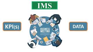IMS Data Analyst