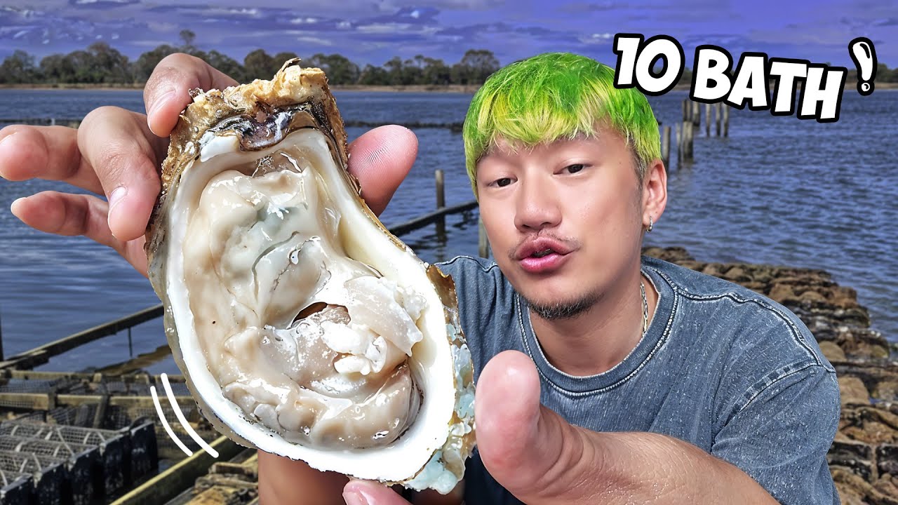 10 บาทเองนะ บ้าไปแล้ว !!! ตามล่าหอยนางรมราคาถูกถึงแหล่งเพาะพันธุ์