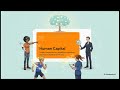 Integrated Reporting & The Six Capitals Explained