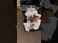 POV: You Told Tyra You Were Abandoned In A Dumspter As A Baby #catshorts #tyrabanks #sphynxcat