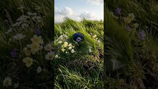 Covered Diamond #trending #viral #garden #music #soothingsounds #flowers #purple #reels #shorts #fyp