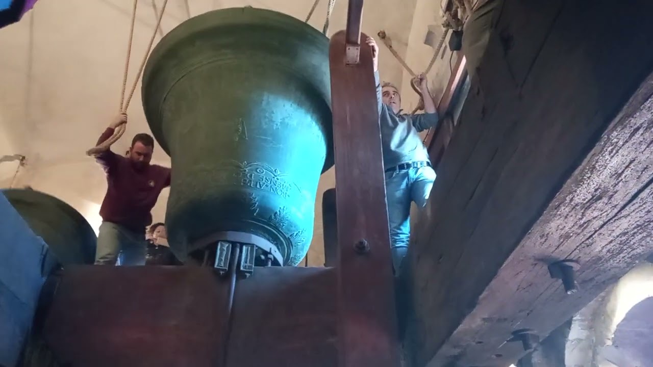 Le Campane di Bologna - Cattedrale di S.Pietro -  Scappata