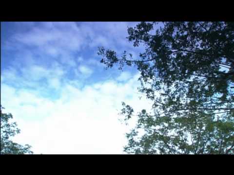 【高雄】綠水城市－高雄