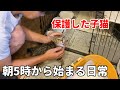 初めての動物病院。慌ただしくなる毎日にも嬉しいことが【移住生活120】