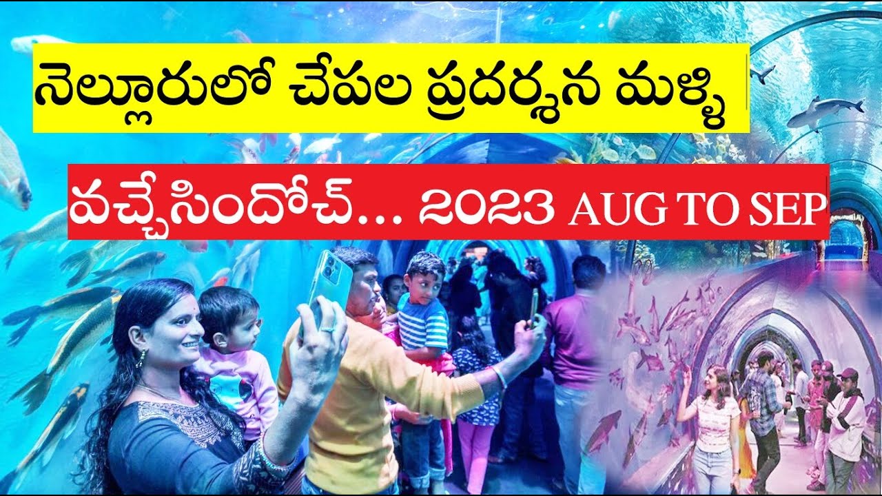 Underwater Tunnel Aquarium fish Exhibition In Nellore August 2023 in