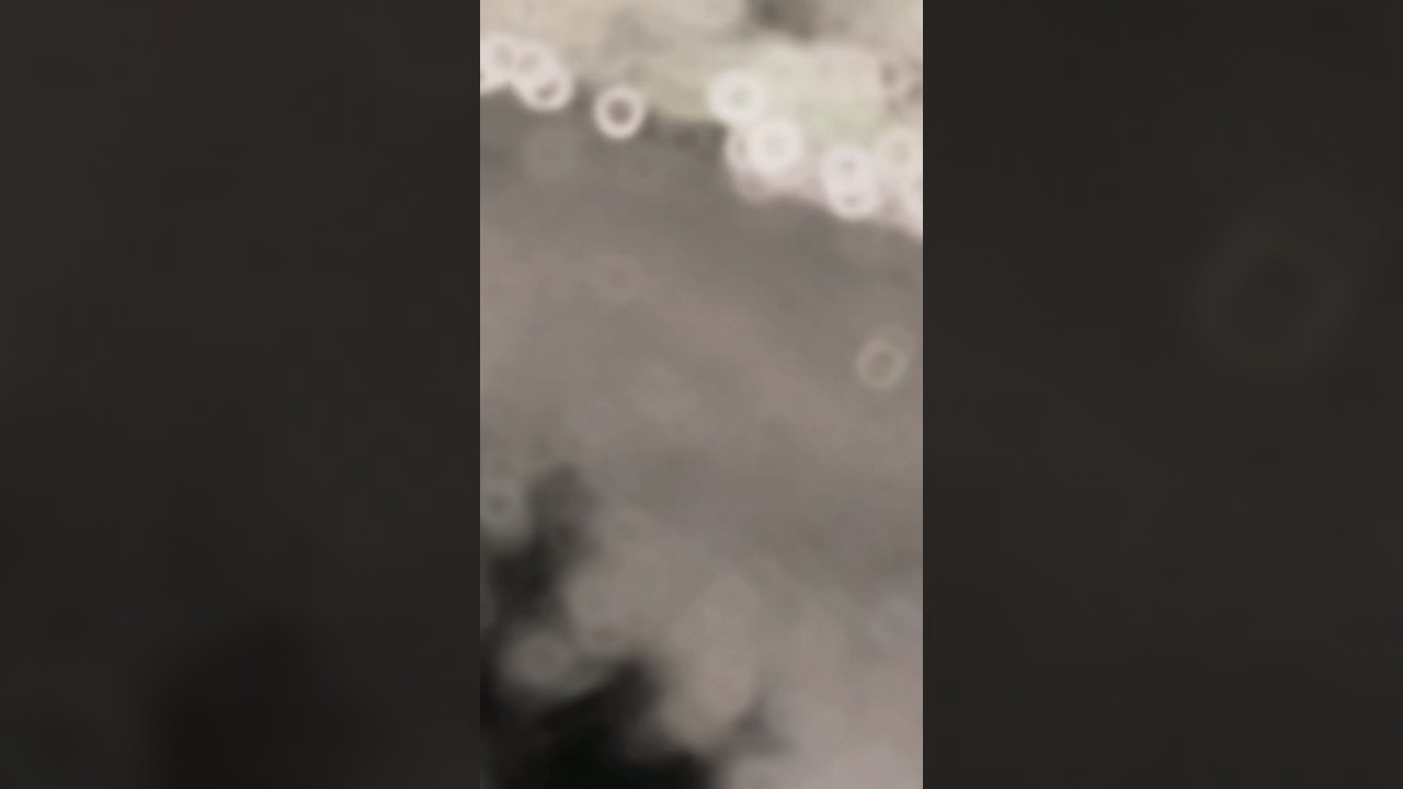 kumrat valley tour | Kumrat | 2023 | 