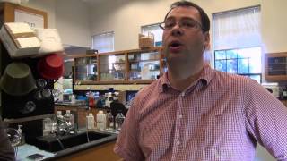 Scientists Explore Gut Microbes Reaction to Disease