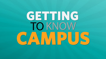 Getting to know the Quad