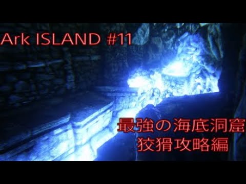 Ark 狡猾の洞窟攻略 Island Youtube