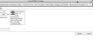Inserting a Picture into Blackboard Discussion Board