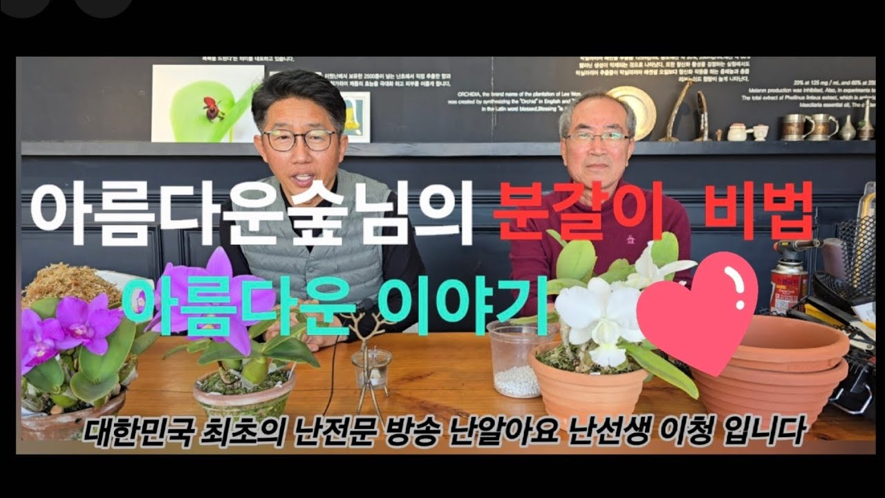 아름다운숲님 분갈이 비법 / 아름다운 이야기💗                      눈물 금지 🚫