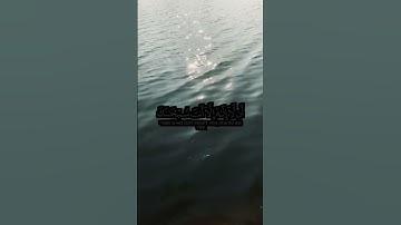 🎧 تلاوة خاشعة من سورة الأنبياء | الشيخ ياسر الدوسري | Surah Al-Anbiya by Sheikh Yasser Al-Dosari 🌟