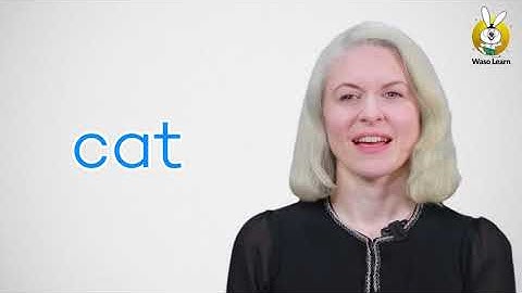 Grade 2 - English (Unit 1, Lesson 4)