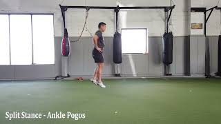 Linear Split Stance Ankle Pogos