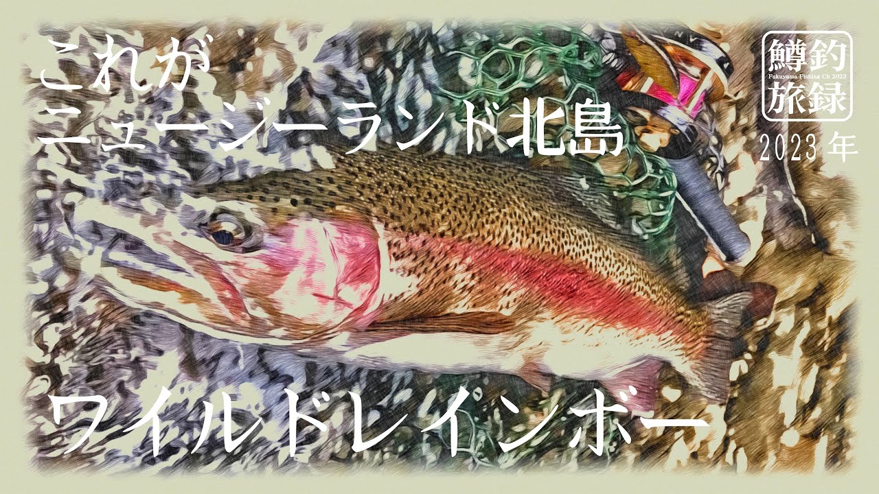 【前編】3月・🇳🇿ニュージーランドNZ 北島釣行！レインボートラウト #鱒釣旅録 2023シーズン開幕。日本の山岳渓流ルアースタイルで。