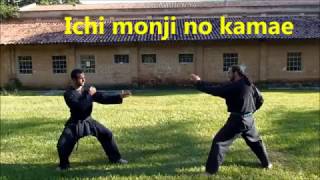 Kihon Happo - 基本八法型