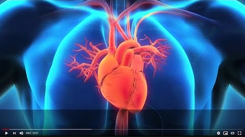 Bypassing the Bypass