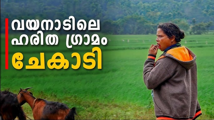 Porno bobo gey bobosi bilan Jinsiy aloqa videolarini onlayn tomosha qiling