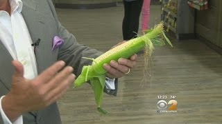 Fresh Grocer: White Corn