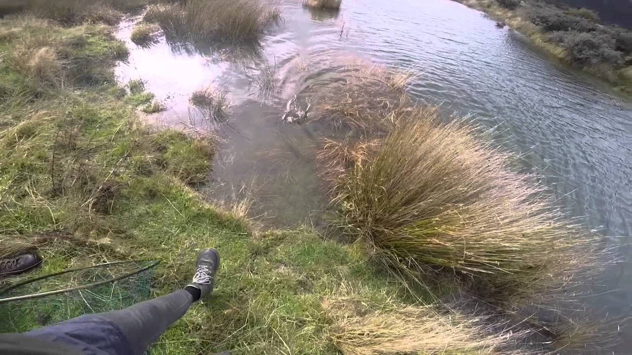 Fly Fishing Loch Katrine 2015 YouTube