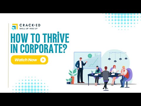 How to Thrive in a Corporate Environment with an Entrepreneurial Mindset? 🤔