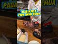 Alasan bule badannya tinggi semua karna makanan ini. #faktamenarik #faktaunik