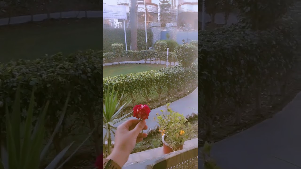 #IshqPawaianZanjeeran