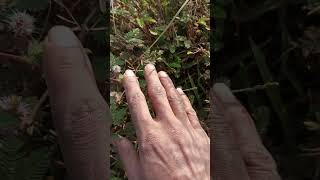 Jay Ho comedian# Magan kanojiya ka storage video # मगन कनौजिया का स्टोरेज वीडियो