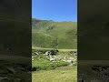 Vr tarcu roamania 2020