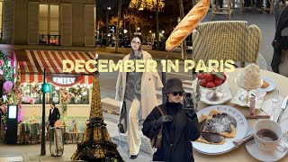 Paris Vlog,December