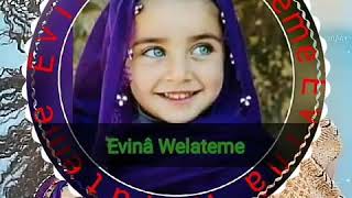 Girti Mamı Li We Ware Evina Welateme